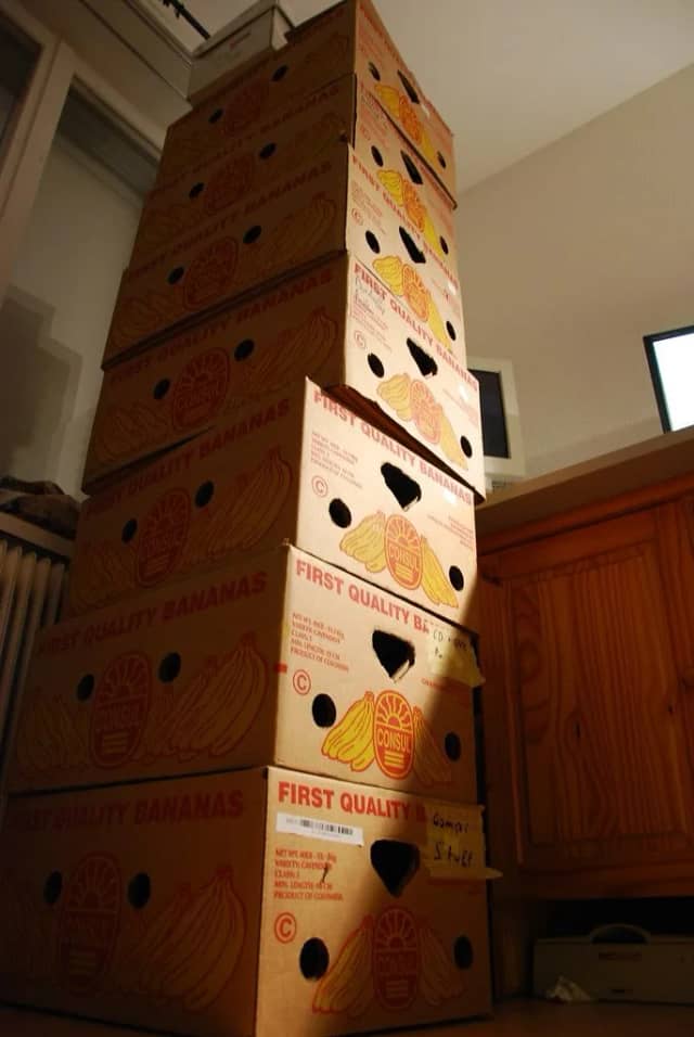 Free moving boxes